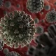 Coronavirus (COVID-19)